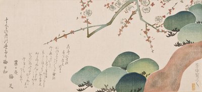 Pino y Flor de Ciruelo, 1810-30 de Nakamura Hochu