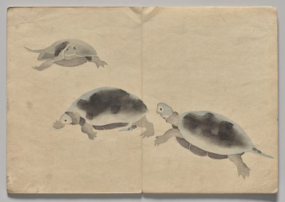 Escena del libro de imágenes Kōrin (volumen 2) de Nakamura Hochu