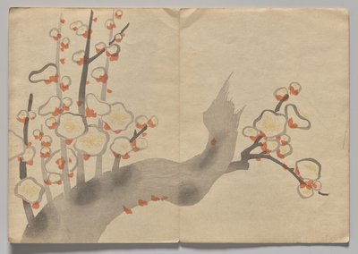 Escena del libro de imágenes Kōrin (volumen 2) de Nakamura Hochu