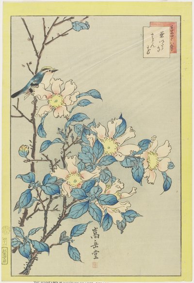 Pájaro azul y flores rosas, 1859 de Nakayama Sugakudo