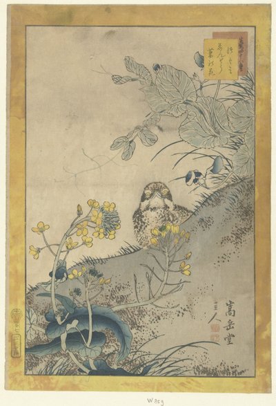 Zorzal joven, guisante en flor y colza Tsugumi endo nanohana (título sobre objeto) cuarenta y ocho bocetos Ikiutsutsu yojuhachiban (título de la serie sobre el objeto) de Nakayama Sugakudo