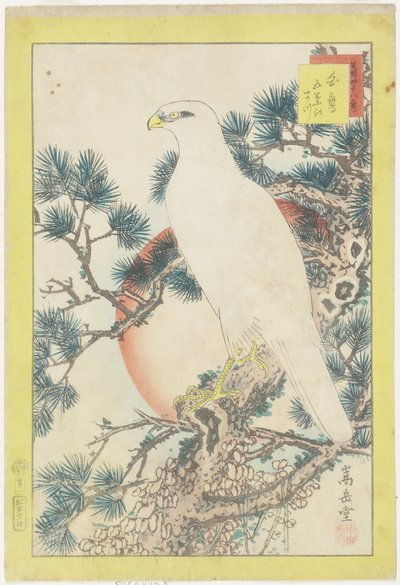 No. 1, Halcón blanco y pino de cinco agujas, 1859 de Nakayama Sugakudo