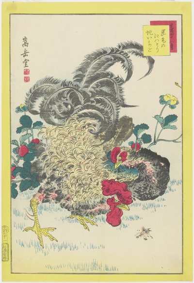 Gallo y frambuesas, junio de 1859 de Nakayama Sugakudo