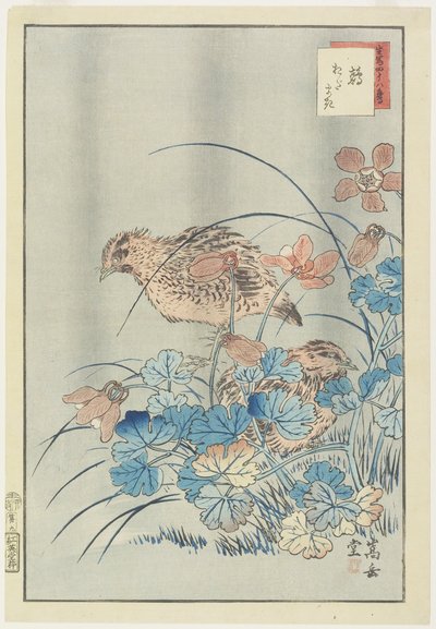Dos codornices en el arbusto, 1859 de Nakayama Sugakudo