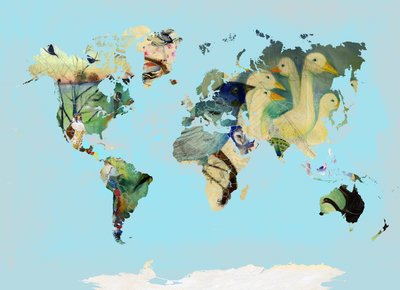 Un mundo de aves, 2016 de Nancy Moniz Charalambous