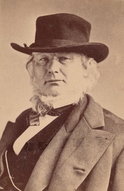 Retrato de Horace Greeley 1811-1872, 1869 de Napoleon Sarony