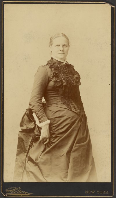 [Mujer no identificada de pie con vestido largo] de Napoleon Sarony