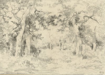 Escena de bosque en verano de Narcisse Virgile Diaz de la Peña