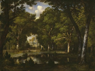 Estanque en el bosque, 1862 de Narcisse Virgile Diaz de la Peña