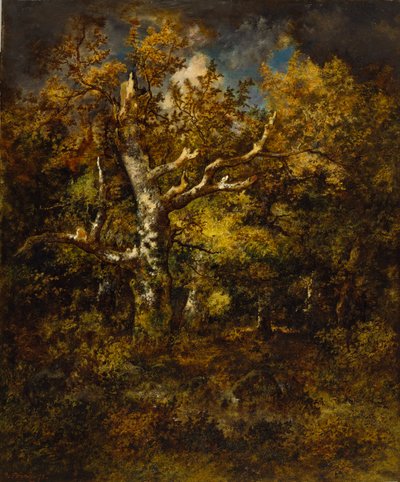 Bosque de Fontainebleau, otoño de Narcisse Virgile Diaz de la Peña