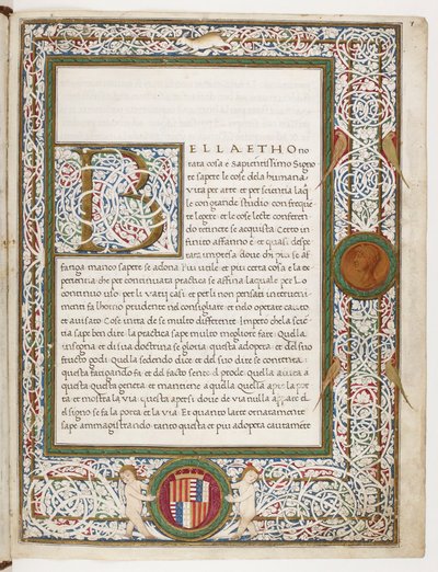 La Majestad de Nardo Rapicano