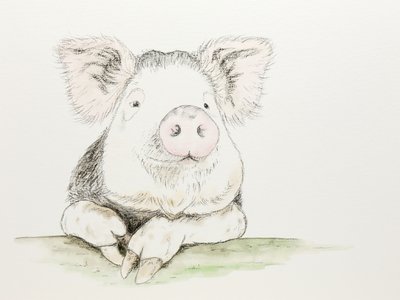 Un cerdito muy mono pintado en acuarela de Natalie Bruns