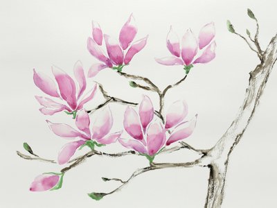 Delicadas magnolias rosas de Natalie Bruns