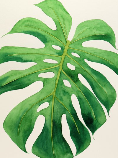 Tropical Monstera Leaf de Natalie Bruns