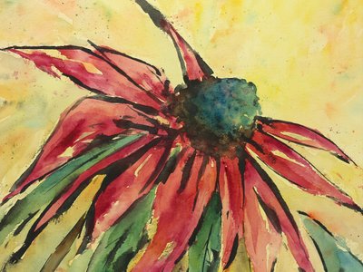 Echinacea de color rojo intenso de Natalie Bruns