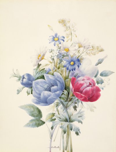 Una rosa, anémona, mignonette y margaritas de Nathalie d