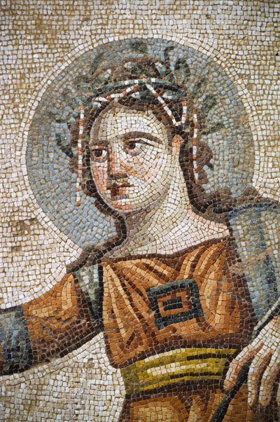 Mosaico romano en la villa Casa de Aion de Nathan Benn