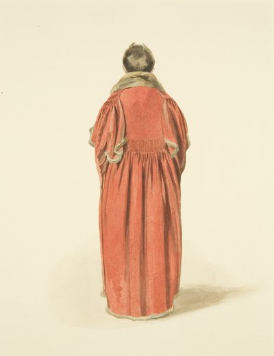 Traje de Concejal de Bristol desde atrás de Nathan Cooper Branwhite