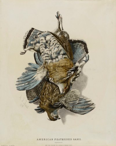Caza de pluma americana--Perdices de Nathaniel Currier