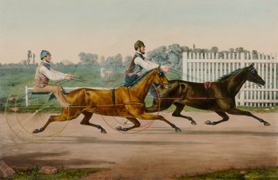 Flora Temple y Highland Maid de Nathaniel Currier