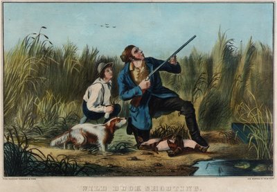 Tiro al pato silvestre de Nathaniel Currier