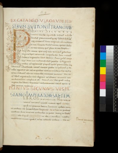 Ms 394.1. Plinio el Viejo, Historia naturalis, f.1r. Inicial iluminada [P] con decoración de tallo de vid blanca (inacabada), Nápoles, mediados del siglo XV, c.1442 (pergamino) de Neapolitan School