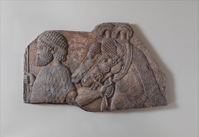 mozo extranjero en una procesión tributaria, c.721-05 a.C. (alabastro de yeso) de Neo Assyrian Neo Assyrian