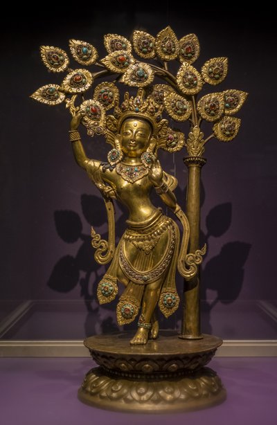 Imagen desconocida de Nepalese School