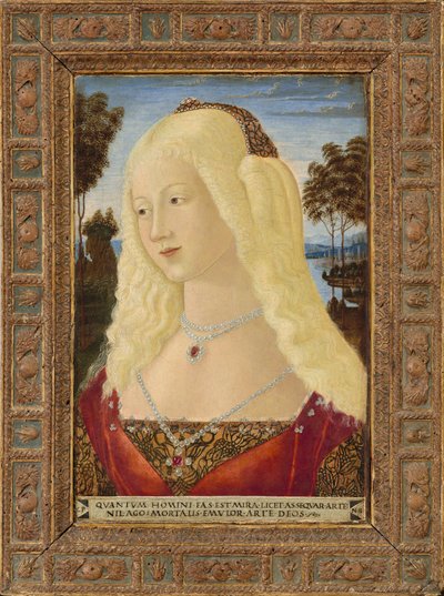 Retrato de una dama, c. 1485 de Neroccio de Landi