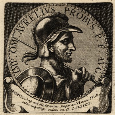 Retrato del emperador romano Probo de Netherlandish School