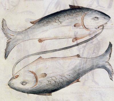 Sloane 3983 Dibujo de Piscis, de una traducción de un tratado astrológico persa de Jafar ibn Muhammad (vitela) de Netherlandish School