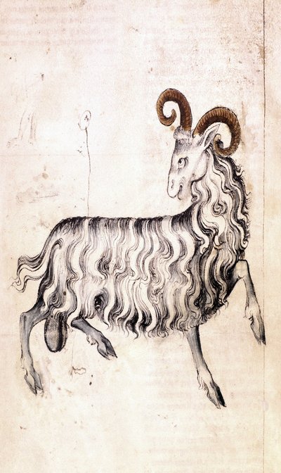 Sloane 3983 f3v El signo zodiacal Capricornio (vitela) de Netherlandish School