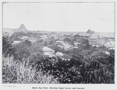 Nueva Plymouth, Nueva Zelanda: Vista Aérea, Mostrando Panes de Azúcar y Convento (foto en blanco y negro) de New Zealand Photographer