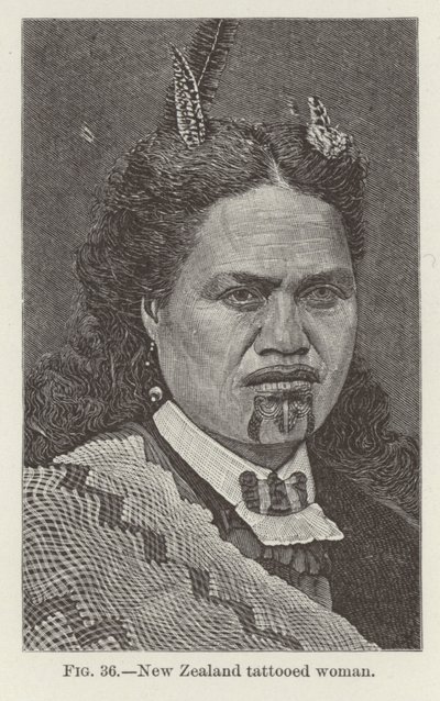 Mujer tatuada de Nueva Zelanda de New Zealand School