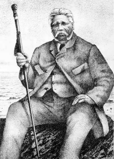 Reihana Waha-nui, ilustración de 