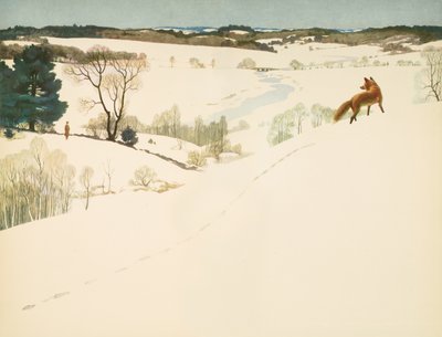 Zorro en la nieve, guarda en 