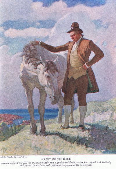Sir Nat y el caballo: Johnny observó a Sir Nat frotar el hocico gris; retroceder y proceder a una inspección minuciosa y sistemática de Newell Convers Wyeth
