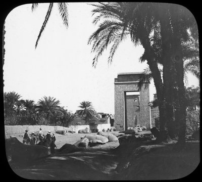 Avenida de las Esfinges, Karnak, Egipto, c1890 de Newton and Co