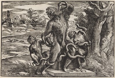 Caricatura del grupo Laocoonte de Niccolò Boldrini after Titian