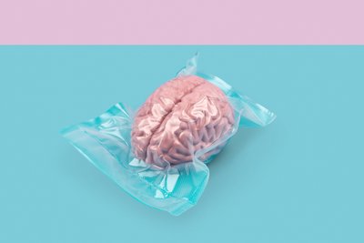 Cerebro, 2020 (foto) de Niccolò Fioriti