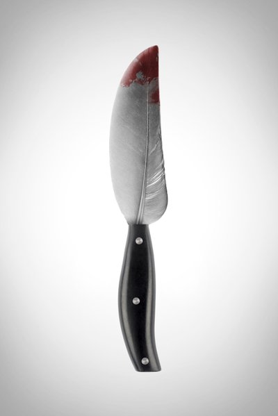 La pluma, 2022 (foto) de Niccolò Fioriti