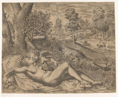 Venus en Amor de Niccolò Nelli