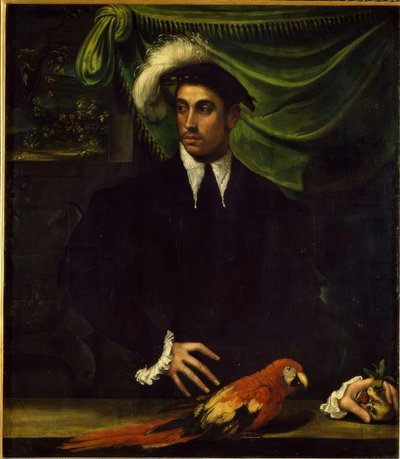 Retrato de un joven con loro de Niccolò dell Abbate