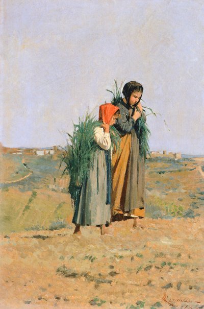 Erbaiole de Niccolo Cannicci