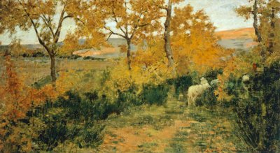 Bosque Dorado en Montemiccioli de Niccolo Cannicci