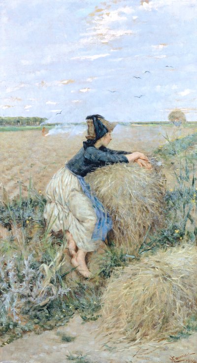 Hierba de trigo en Tombolo de Niccolo Cannicci