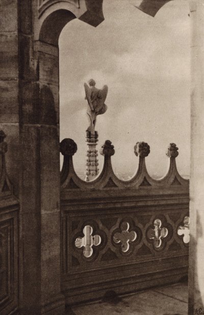 Vista desde el Duomo de Milán (fotografía en blanco y negro) de Nichol Elliot