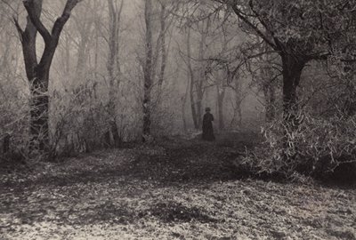 En el bosque de Viena (foto b/n) de Nichol Elliot