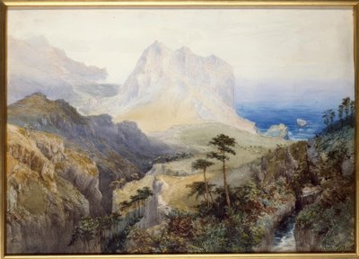 Una garganta cerca del mar, Alpes del Sur, Nueva Zelanda de Nicholas Chevalier