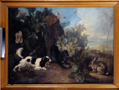 Dos perros y un conejo de Nicholas Desportes
